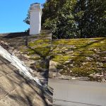 Moss & Algae on Your Roof? Here’s How to Clean It Safely